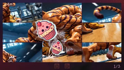 Furry Gym Preview 2