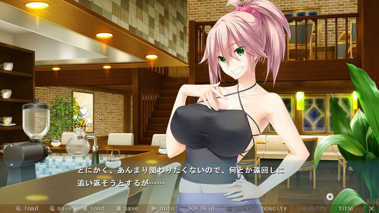 Nee Chan No Susume Onee Chan No Itazura Seiseikatsu Preview 6