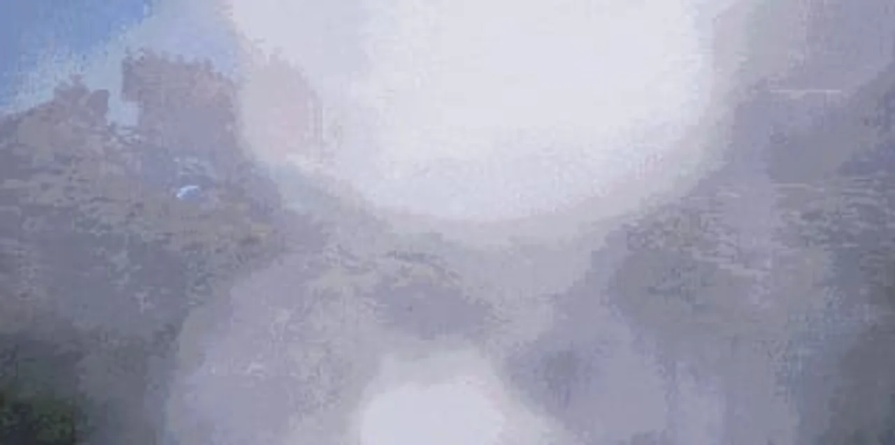 Wild Life Preview 3