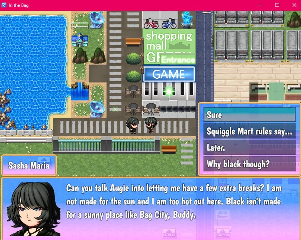 In the Bag Preview 4