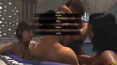 The Sultan and His Harem Preview 9