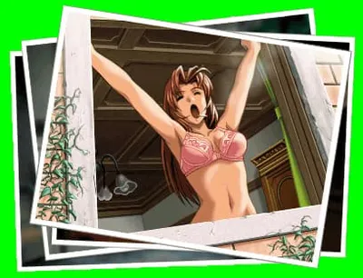 Shuusaku DVD ROM Edition Preview 8