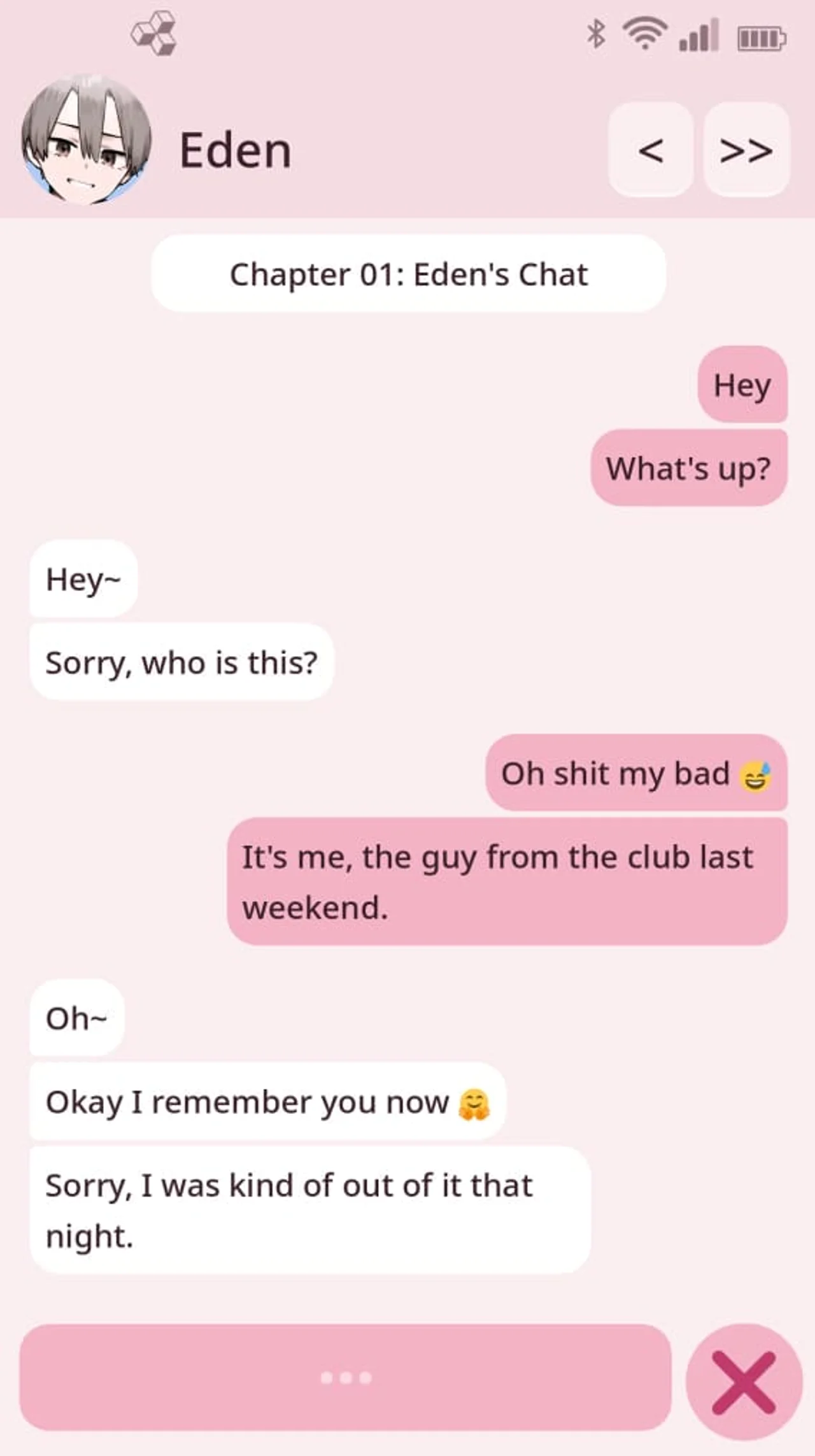 Femboy Phone Preview 4