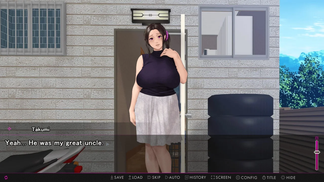 Afternoon Affairs and Helpless Housewives Preview 4