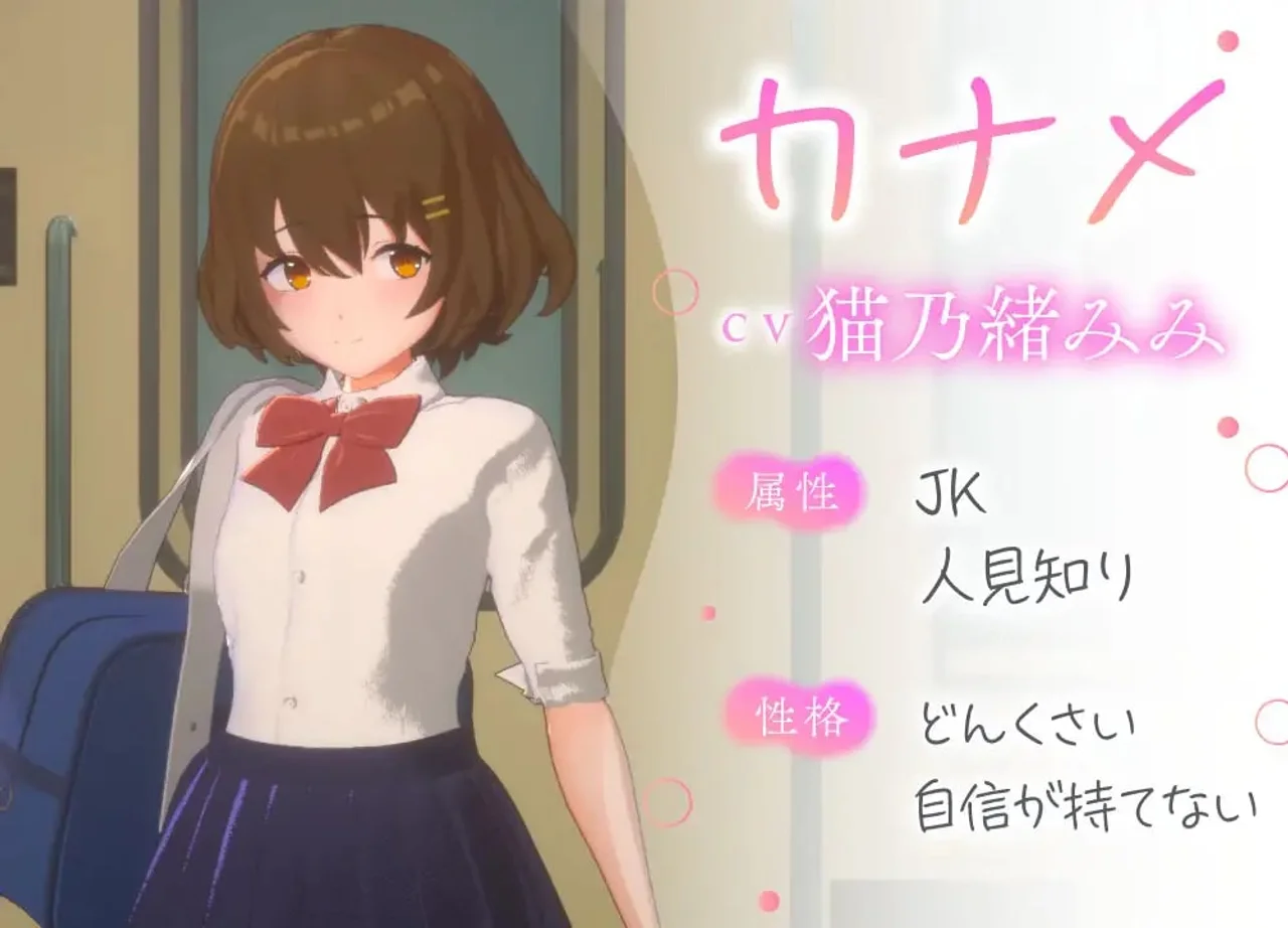 3D Molester Experience Touching Unlimited School Train Edition Preview 3