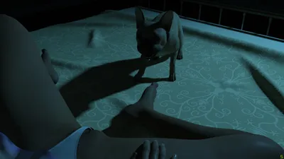 Evelyn Preview 3