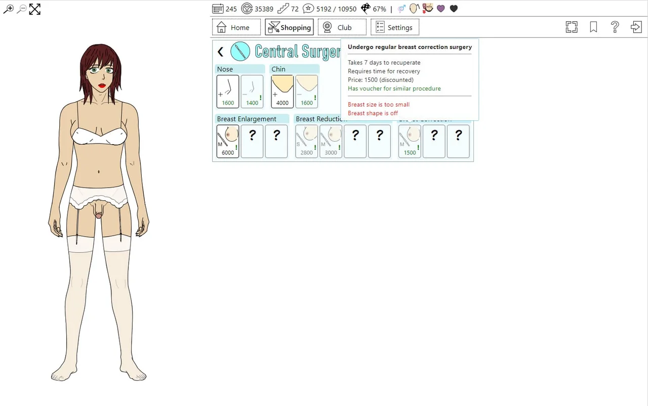 Wandering Ryo Preview 2