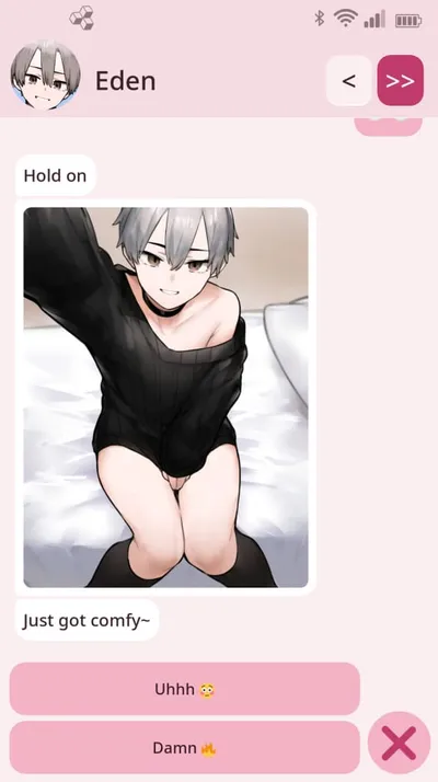 Femboy Phone Preview 2