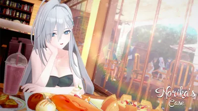 Norikas Case Preview 10