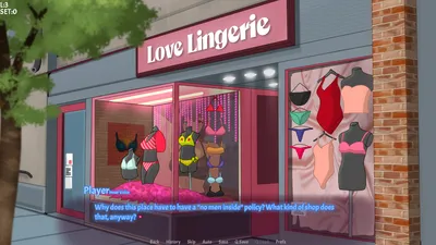 Pookies Lingerie Shop Preview 2