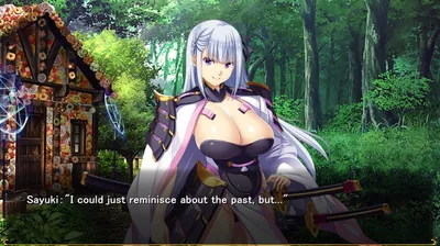 To My Wives Who Were Once Heroes Preview 8