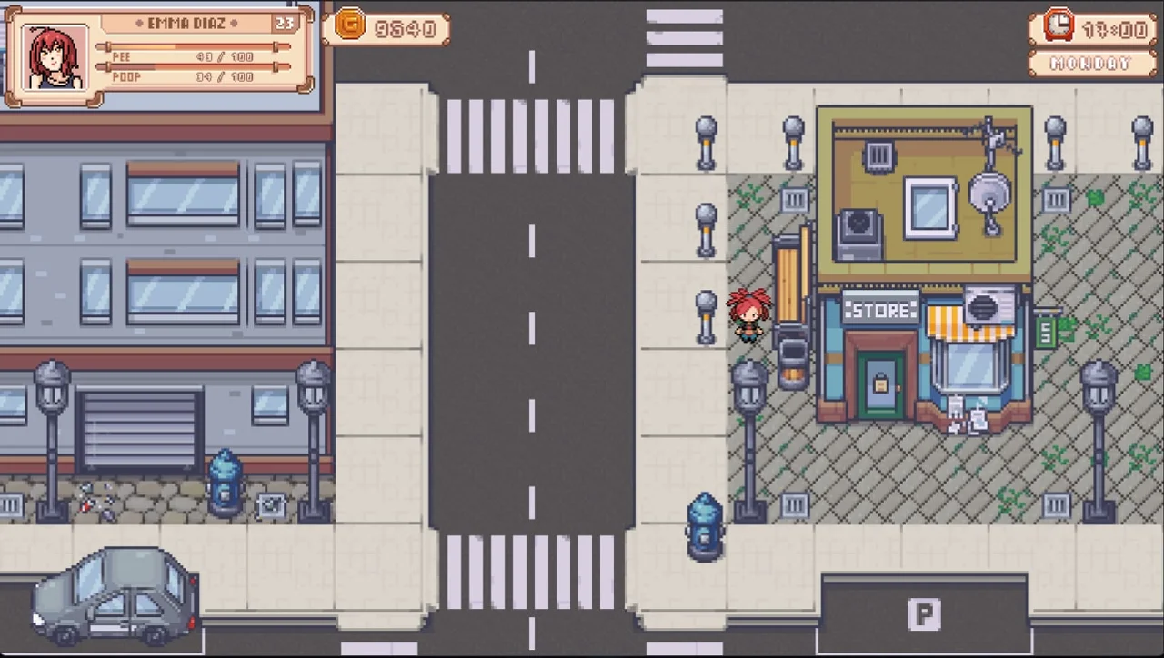 A New Life in Sunnyvalley Preview 4