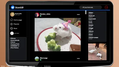 Beta Life Preview 7
