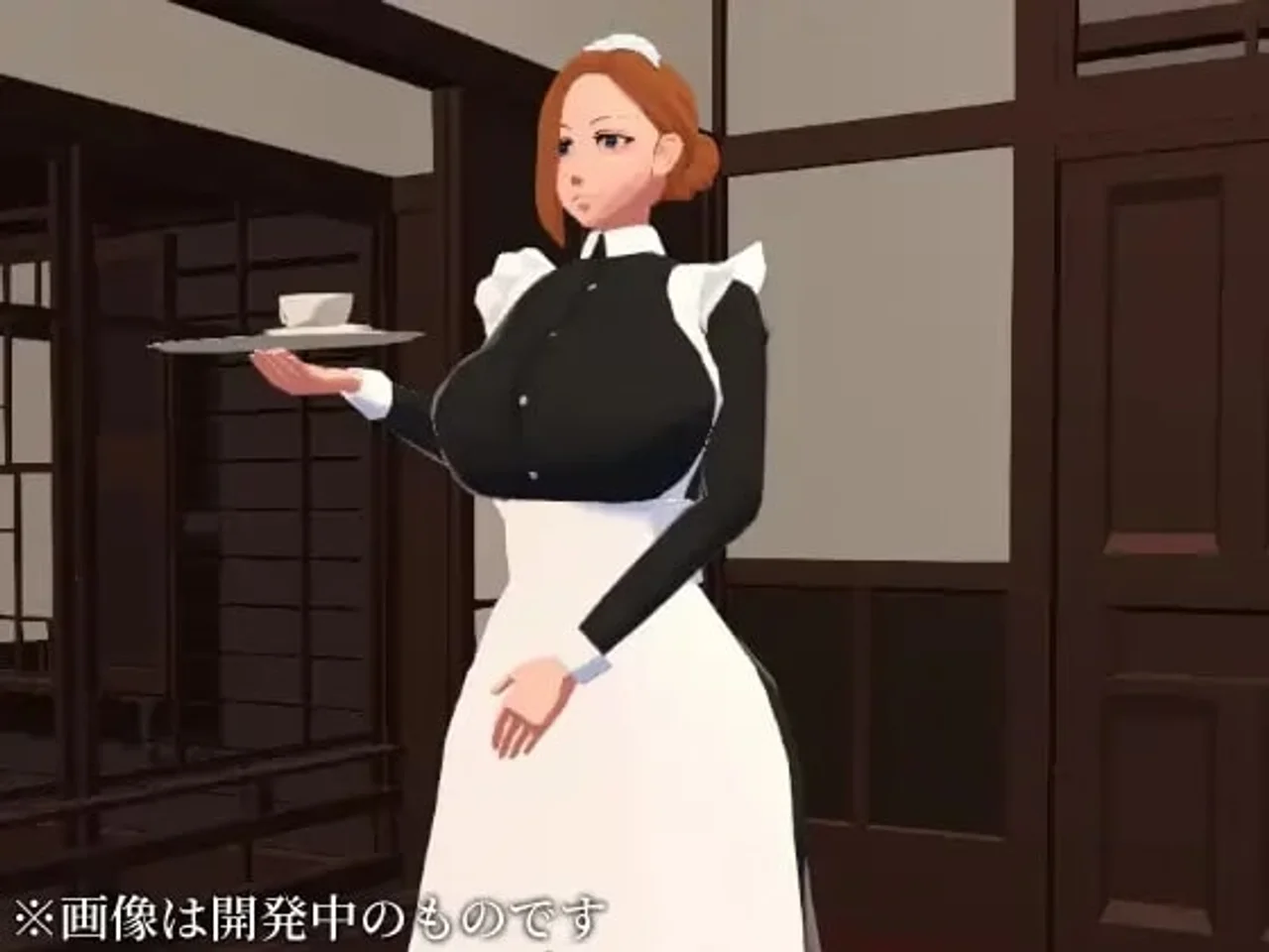 Observation Maid Preview 1