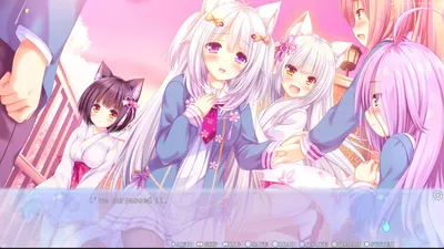 Nekotsuku Sakura Preview 3