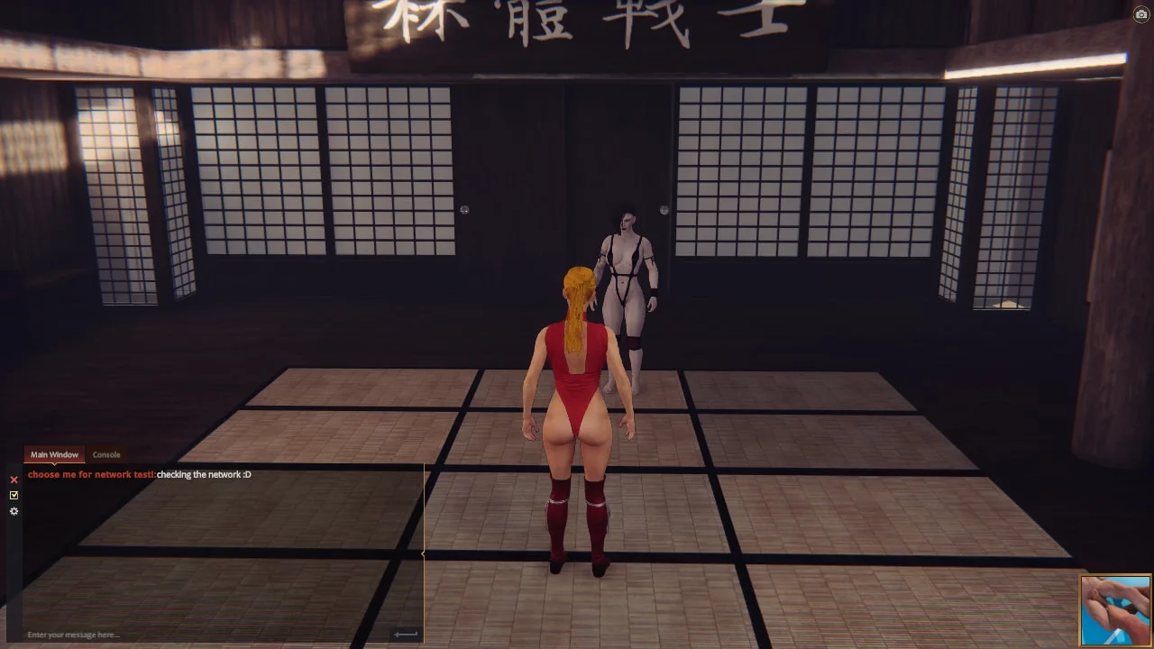 Naked Fighter 3D Preview 7