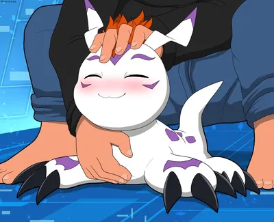Gomamon Trainer Preview 6