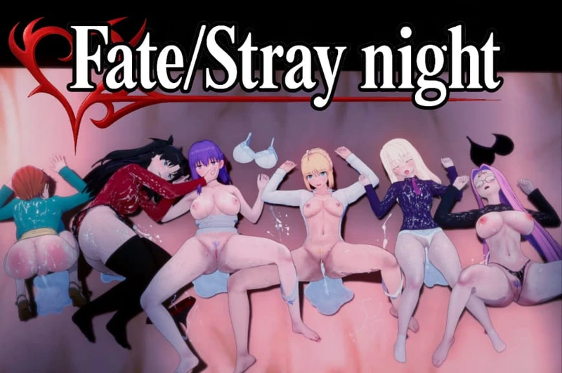 Fate/Stray Night