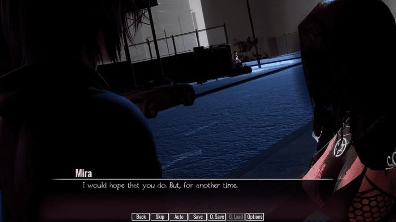The Interim Domain Preview 1