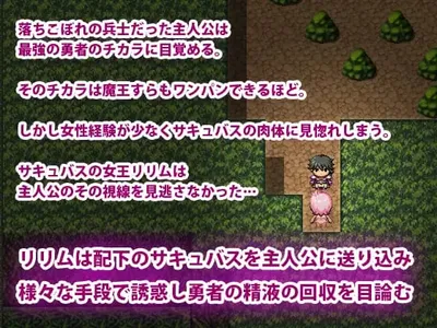 The Hero Vs the Succubus Army Preview 1