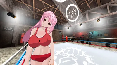Hentai Fighters Vr Preview 6